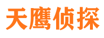 江口市调查公司